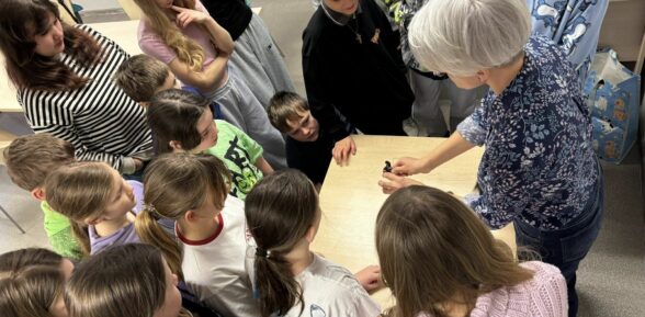 Warsztaty z filcowania